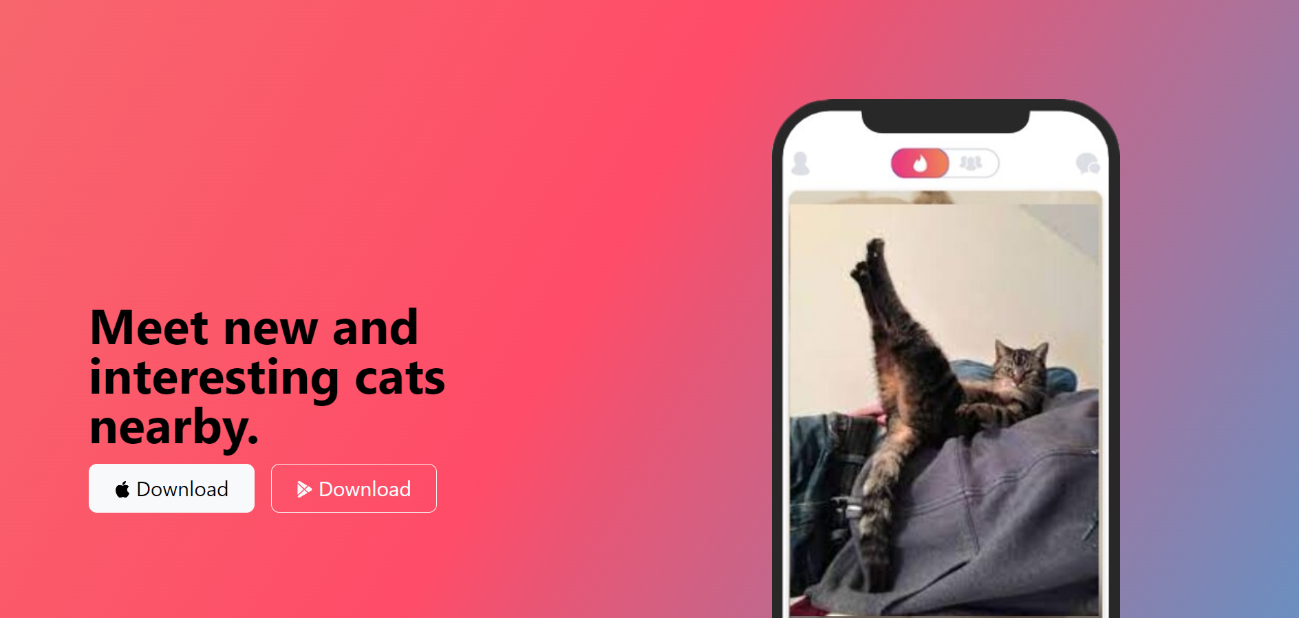 TinCat